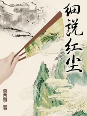 细说红尘小说讲的是什么